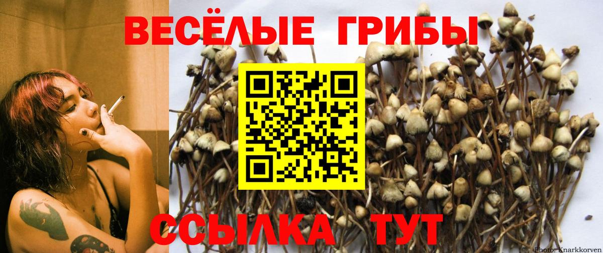Галлюциногенные грибы GOLDEN TEACHER Кулебаки